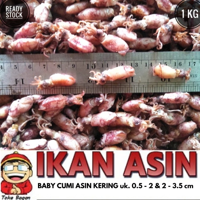 

Baby Cumi Asin Kering 1 Kg Cap Toke Bagan Siapi Api