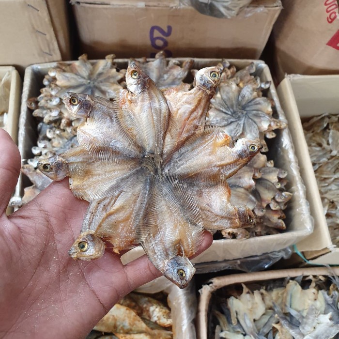 

Ikan Asin Sepat Bintang-500Gram
