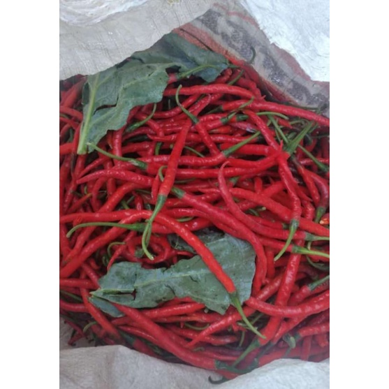 

Cabe Merah Keriting 500gr