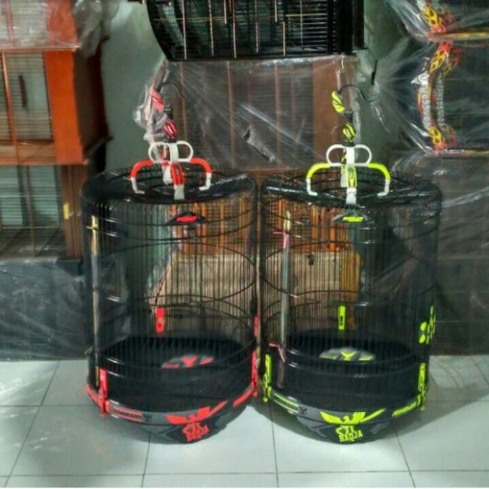 Promo Kandang Burung Murai Merk Radja Komplit Tangkringan Karpet Full Set