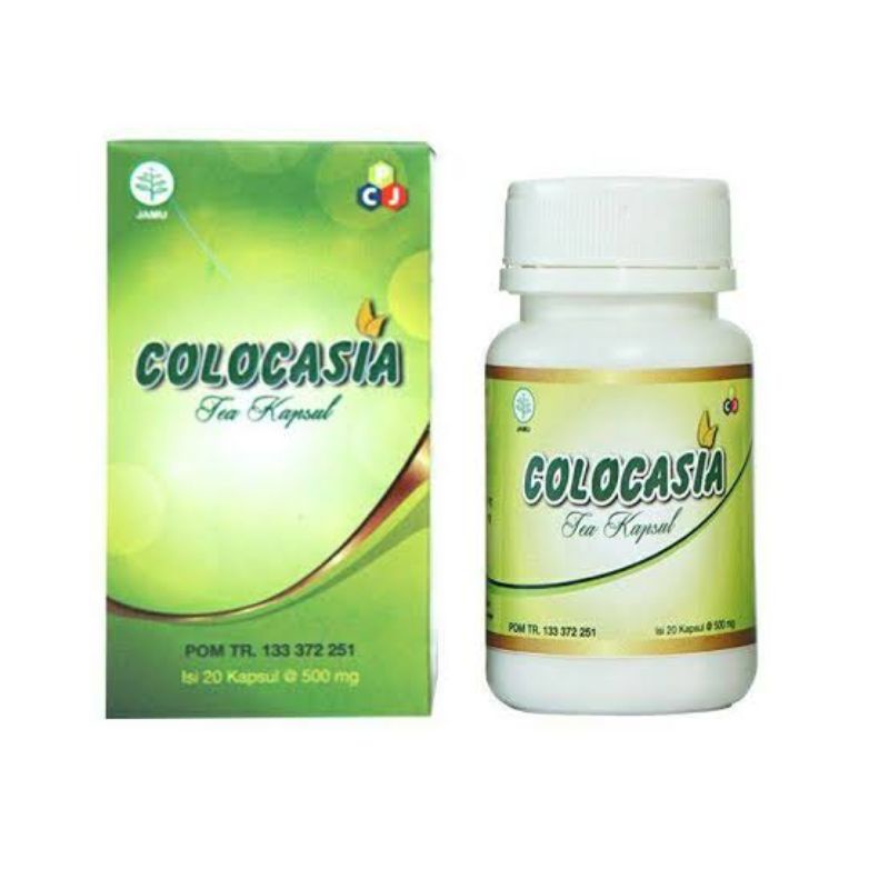 Colocasia obat herbal nyeri sendi dan tulang COLOCASIA 100%original