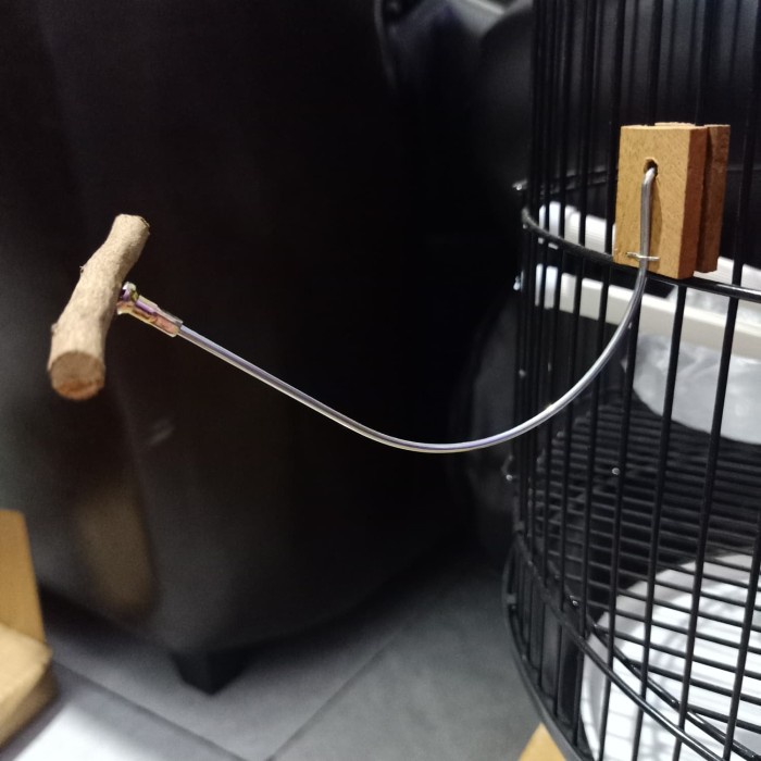 Tangkringan burung kecil - tangkringan kolibri