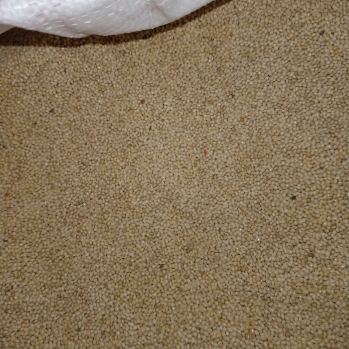 Milet putih 25 kg milet karungan - milet putih bersih