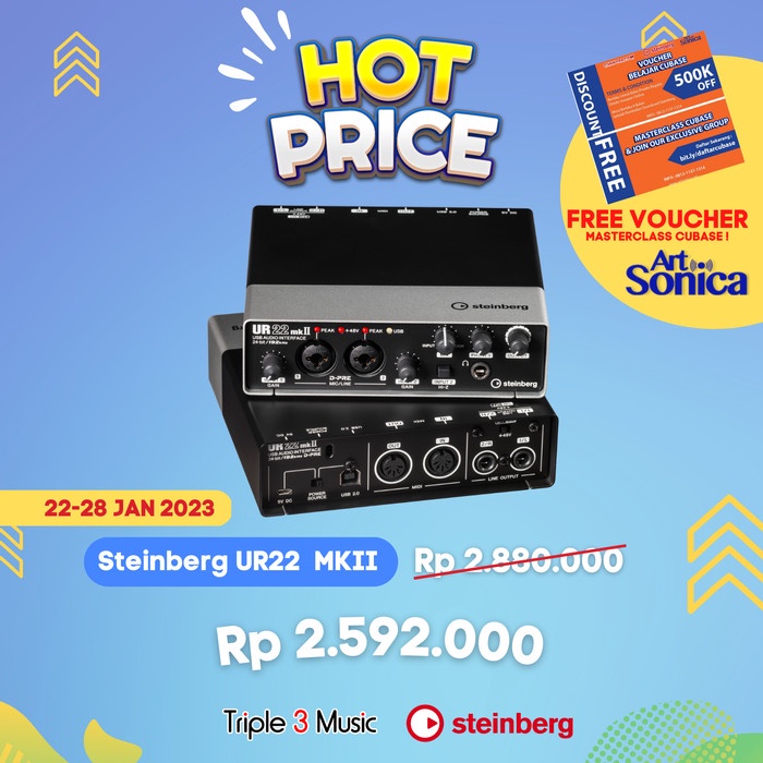 Steinberg UR22 UR 22 MkII Soundcard Recording