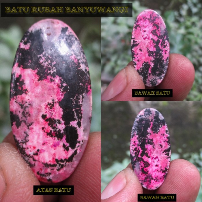 [Baru] Asli Batu Akik Rubah Banyuwangi Full Motif Sosok Cek Video Berkualitas