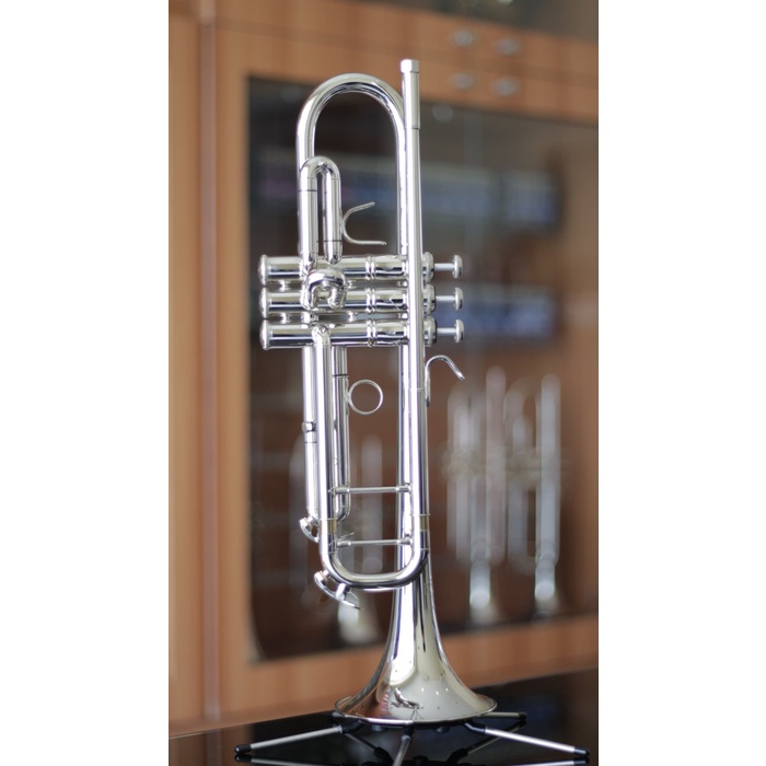 

✨Ready Trumpet Pro-Series Royale Rtp-3000 Diskon