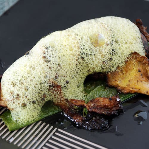 

Promo Texturas Soy Lecithin Powder Foam Air Cloud Molecular Gastronomy Spain