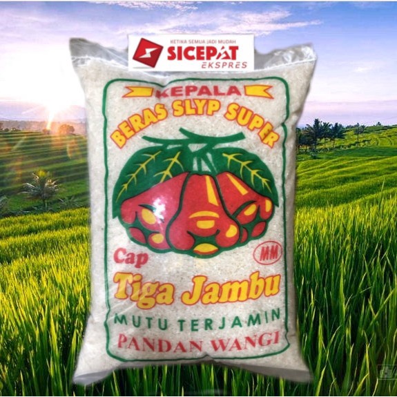 

Tiga Jambu 5Kg Sicepat/Pengiriman Luar Kota