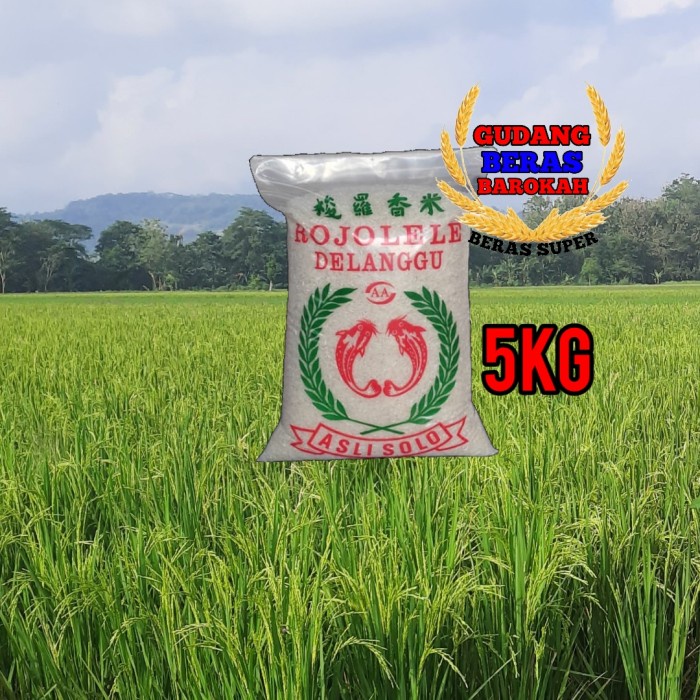 

Rojo Lele Delanggu Asli Solo 5Kg