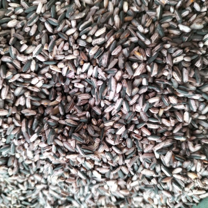 

Ketan Hitam Sosoh Super 1 Liter