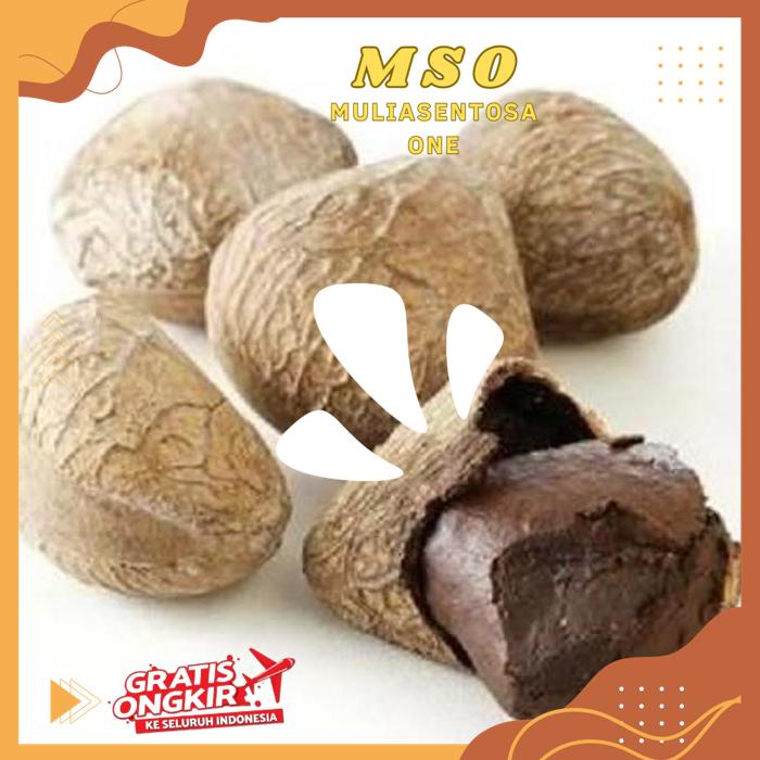 

KLUWEK / KLUWAK ATAU BIJI KELUWEK BUMBU DAPUR HIGHT QUALITY PRODUK !!