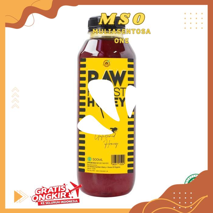 

RAW FOREST HONEY 500 ML HIGHT QUALITY PRODUK !!