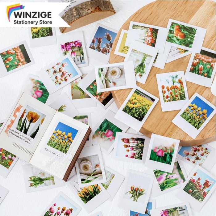 

Terbaru 46Pcs Tulip Stickers Set Scrapbooking Bujo Planner Flower Promo Terlaris