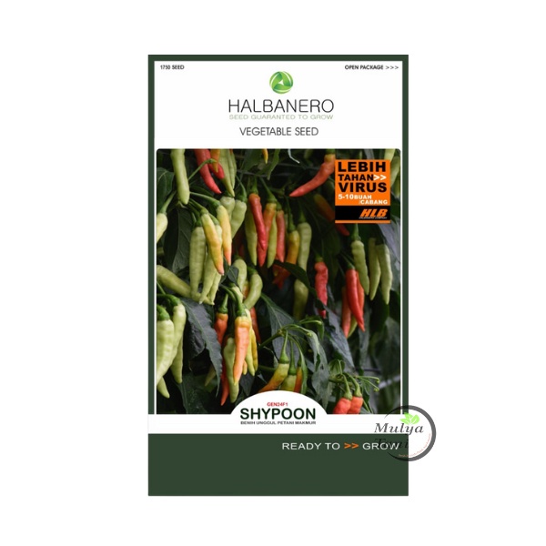 Benih Cabe Rawit Shypoon 10 Gram