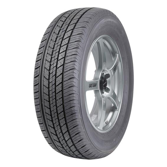 Ban Mobil 225/60 HR18 Dunlop ST30 225 60 18 NEW XTRAIL