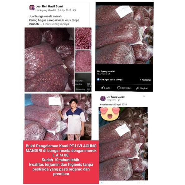 

Model baru - bunga rosela merah tea .,