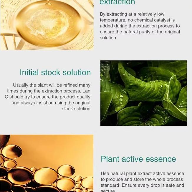 Garansi Umbuh Rambut Ginger Gernal Oil Umbuh Rambut Cepat Mencegah Kebotakan Botak Serum Umbuh Rambu