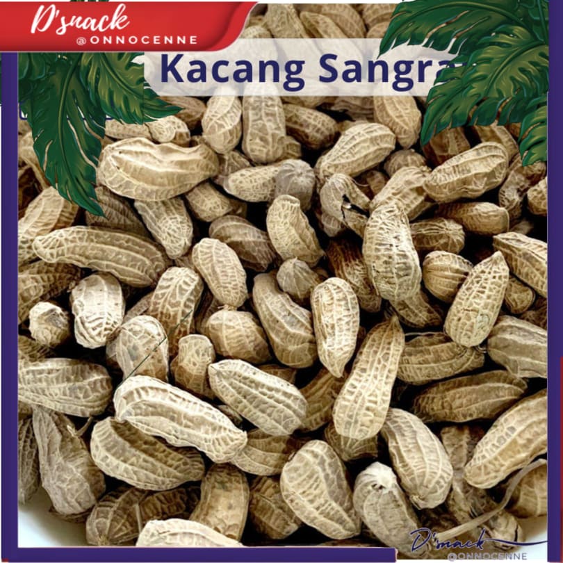 

Kacang Kulit Sangrai Asin Gurih / Kacang Tanah Sangrai 4SUX8