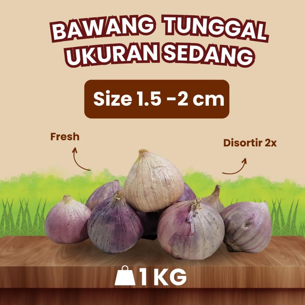 

Ready Bawang Putih Tunggal Lanang SEDANG 1.5-2 CM 1 KG