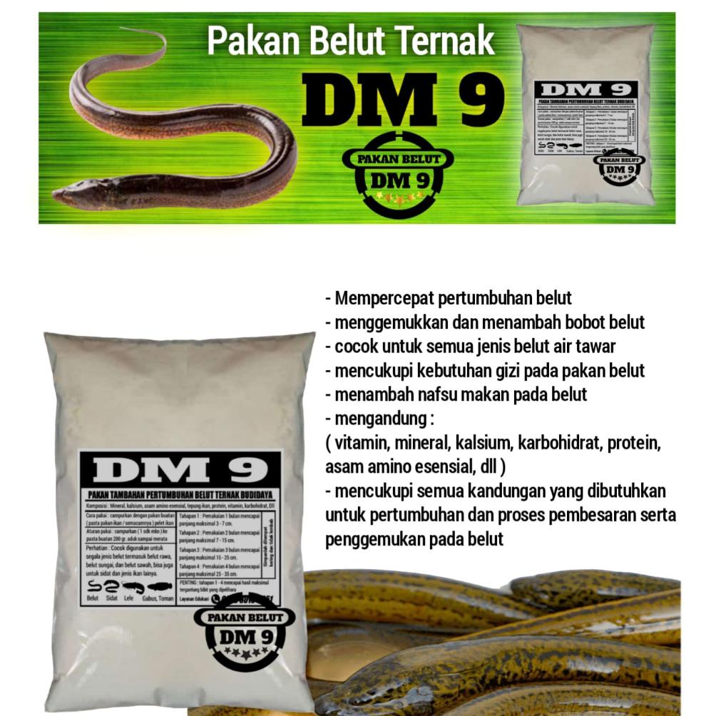 New pakan belut ternak dm9 budidaya ikan