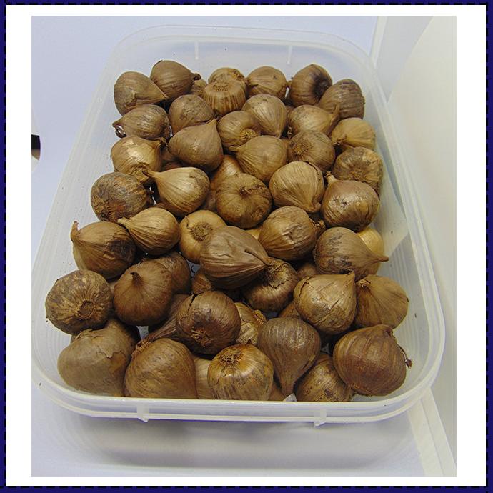 

BLACK GARLIC TUNGGAL 500 GRAM - BAWANG PUTIH HITAM TUNGGAL/LANANG