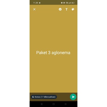 paket 3 aglonema