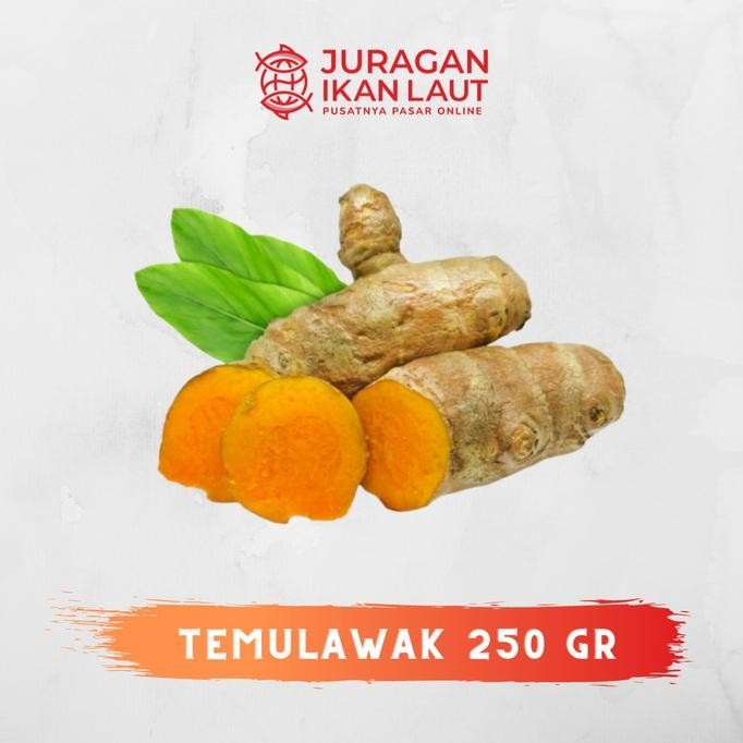 

Termurah Temulawak Rempah Berkualitas - 250 Gram