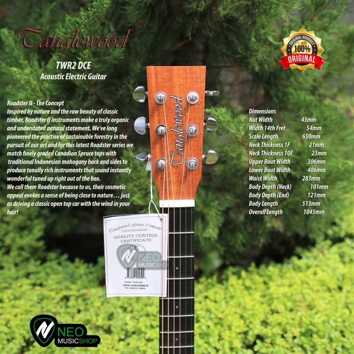 PROMO TANGLEWOOD TWR2 DCE ACOUSTIC ELECTRIC GUITAR #ORIGINAL