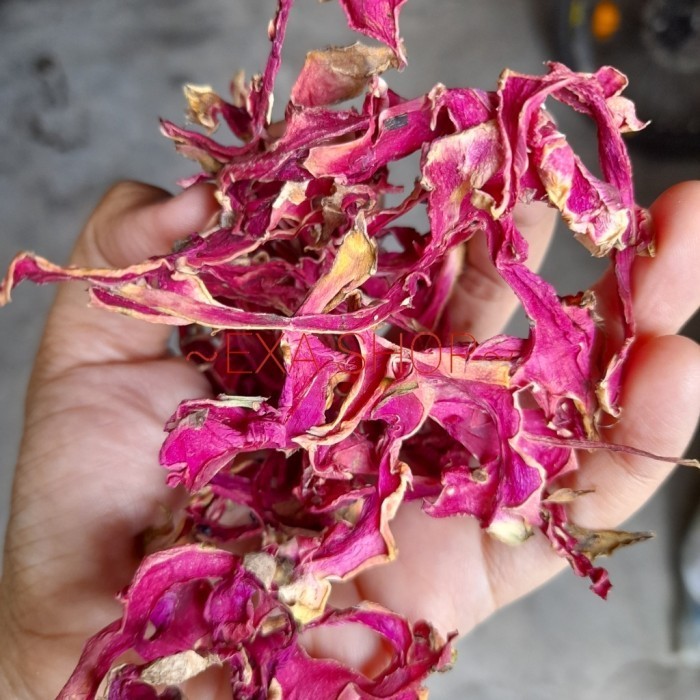 

Mazin - Kulit Buah Naga Kering 100Gr