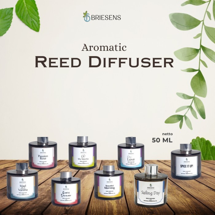 Terbaru Briesens Reed Diffuser Aromatic Diffuser Diffuser Humidifier Promo Terlaris
