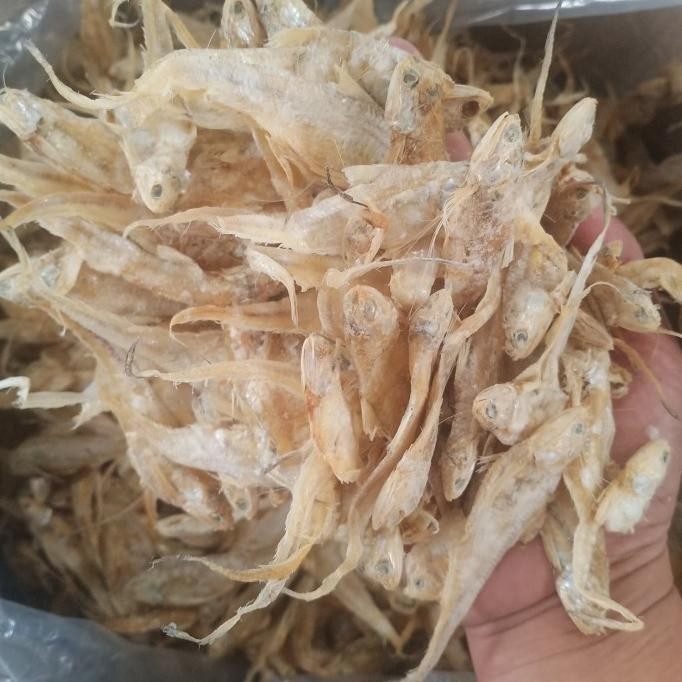 

Ikan Asin Bulu Ayam 1 Kg Fresh