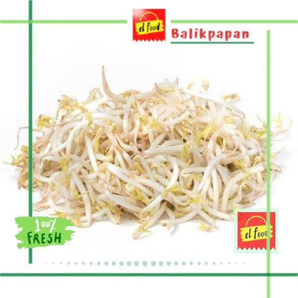 

TAUGE SEGAR 200gr /(EL FOOD)/Sayur/Sayuran/Toge/Kecamba