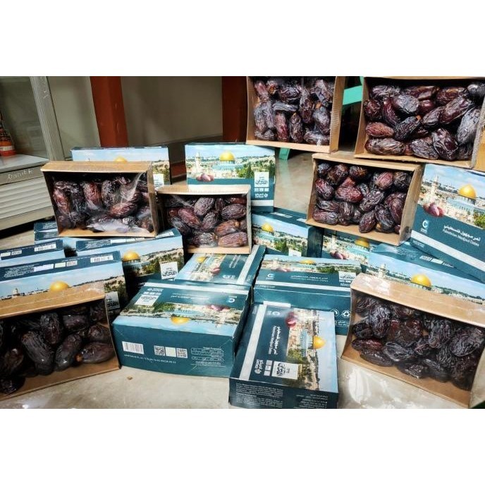 

Kurma Medjoul Dates Al-Quds Palestina Jumbo Premium Medjool Alquds 1Kg
