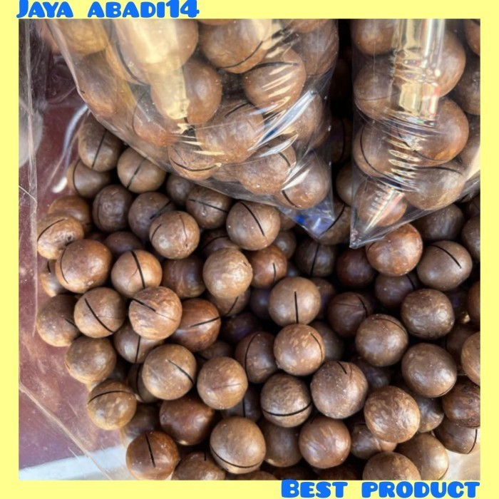 

SALEE!!!!! Kacang Makadamia Kulit 1 Kg Bes