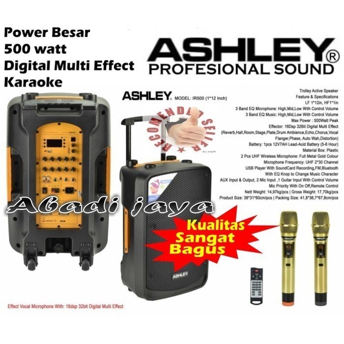 SPEAKER ASHLEY IR500 500 WATT MULTI EFFECKS KARAOKE ASHLEY IR500 12''