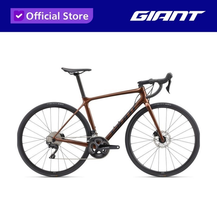 GIANT TCR ADVANCED 2 DISC PRO COMPACT - XS, Hematite