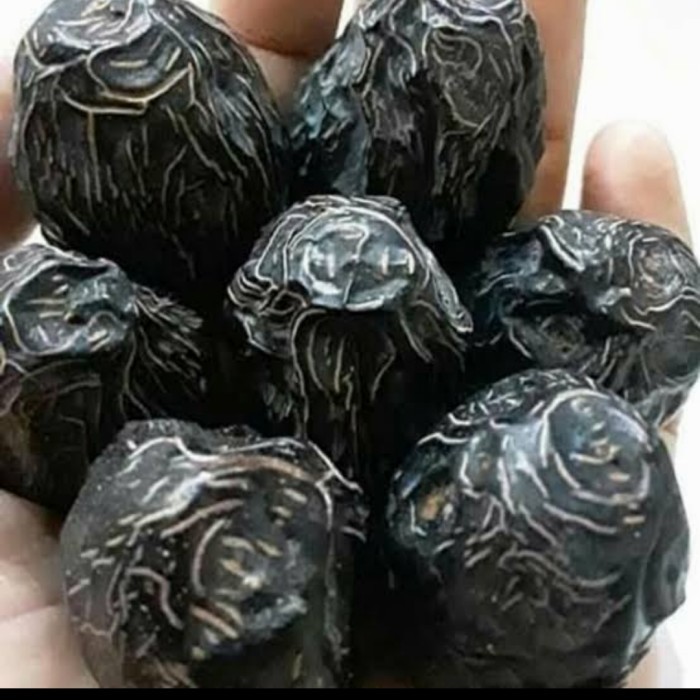 

Kurma - 1Kg Kurma Ajwa Madinah /Kurma Nabi Asli Arab 1Kg