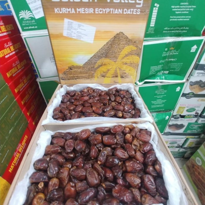 

Kurma - Kurma Golden Valley 10Kg / Kurma Mesir Golden Valley 10 Kg