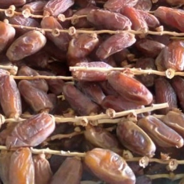 

Kurma - Kurma Tangkai 1Kg