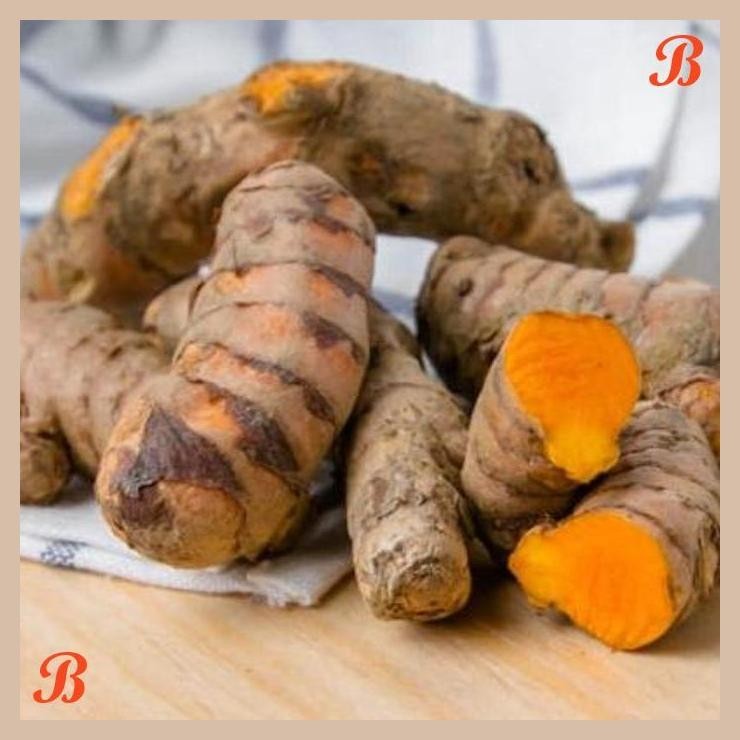 

| HOF | KUNYIT 90 - 100 GR