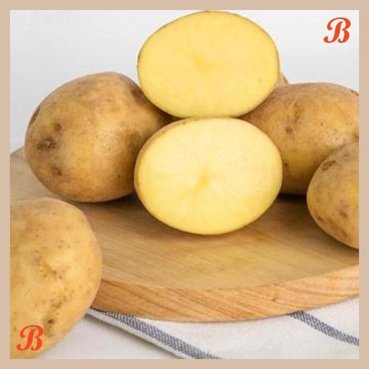 

| HOF | KENTANG 800 GR ( FRESH POTATOES )