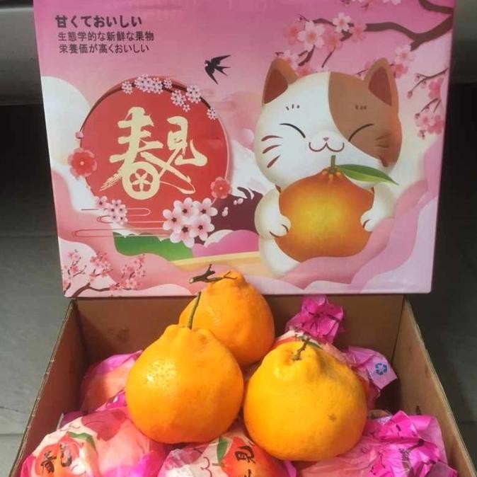 

Jeruk Dekopon Papagan Chunjian Hampers Box