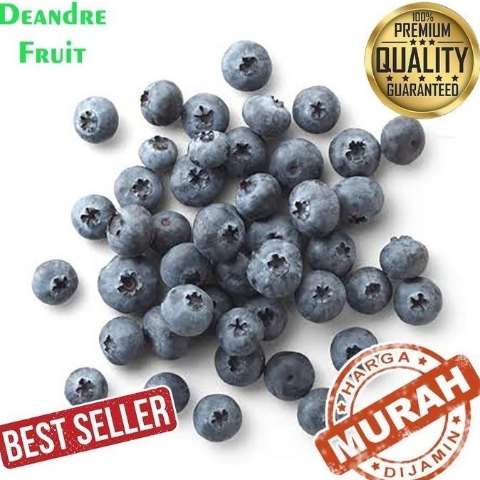 

Terlaris Dijamin Murah 500Gr Buah Blueberry Import Frozen Buah Beku Blue Berry Original
