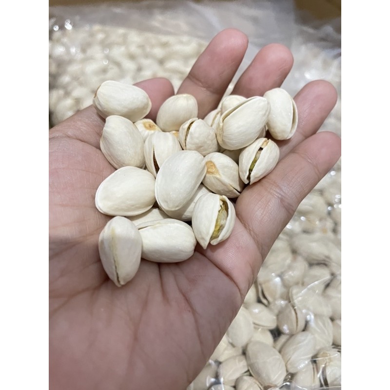

Kacang Pistachio Fustuk Premium 500 gr Oleh Oleh Baitullah Hampers Haji
