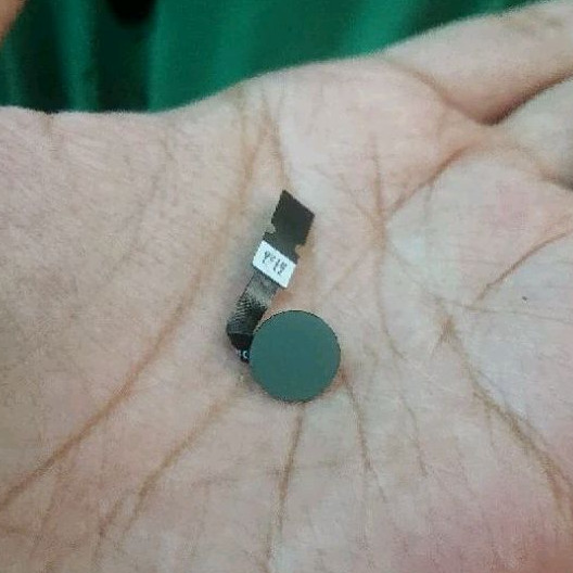 Fingerprint Xz2 Premium Ori copotan