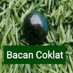 Bacan Doko Majiko Coklat Lostune Super Kaca