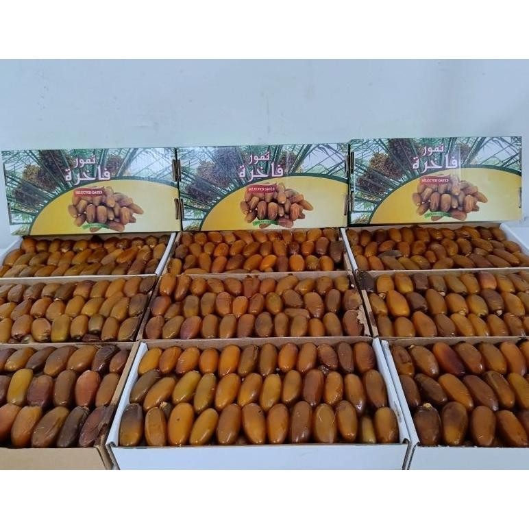 

POJ kurma rutob ruttob libya 1 kg TERLARIS