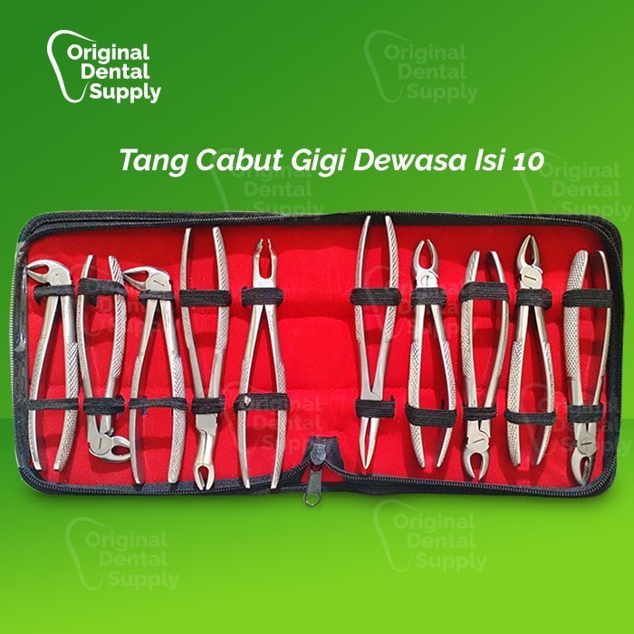 TANG CABUT DEWASA ISI 10 ALAT CABUT GIGI DENTAL TANG CABUT GIGI