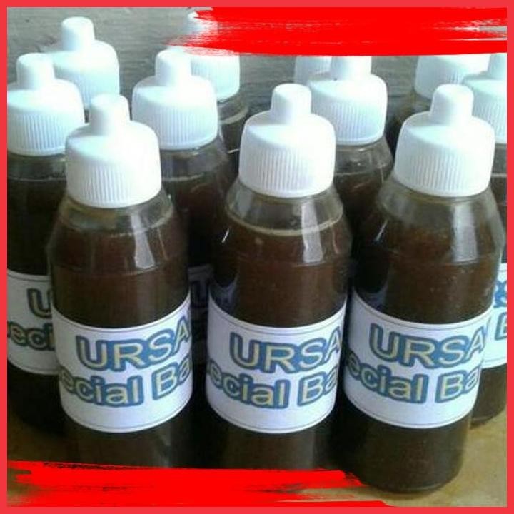 

(bk anug) ursal special bandeng 50cc