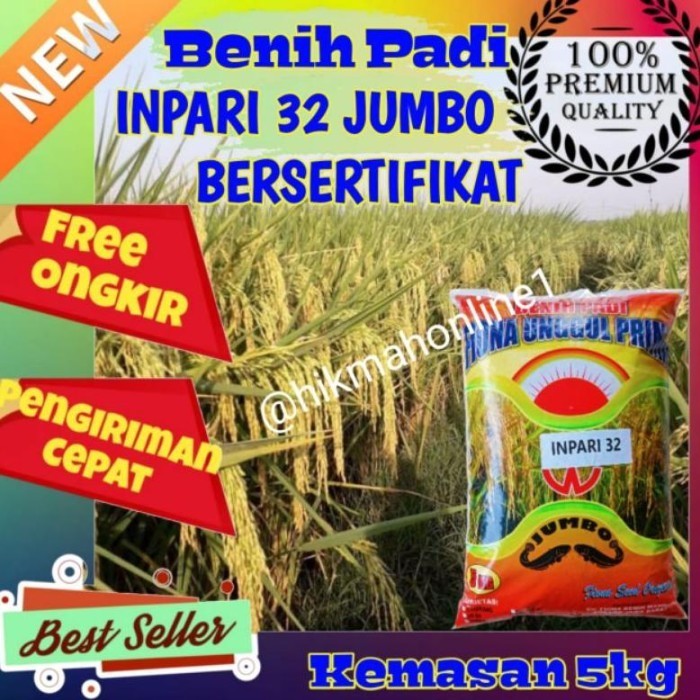 New BIBIT Benih padi Inpari 32 Jumbo Bersertifikat Label ungu kemasan 5kg